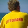 Lifeguard84