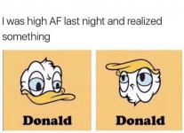 donald - donald.jpg